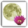 The Flower Moon